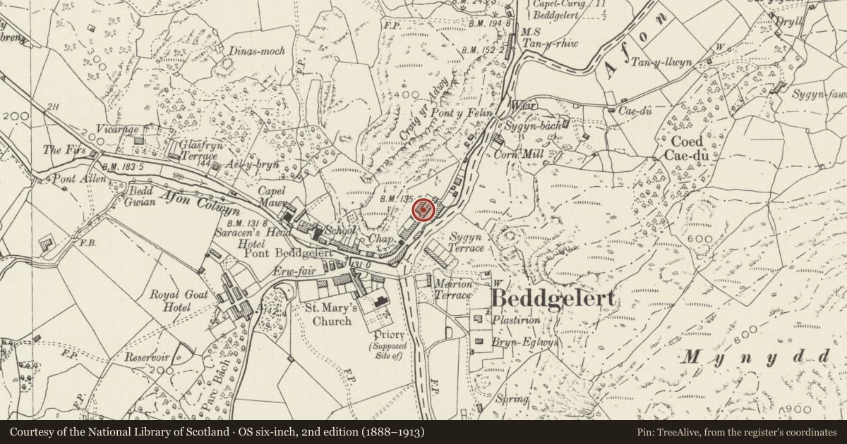 Ordnance Survey six-inch map, 2nd edition (1888–1913) covering the location of 15 Gwynant Street, Beddgelert, Gwynedd, with a pin at the register's coordinates