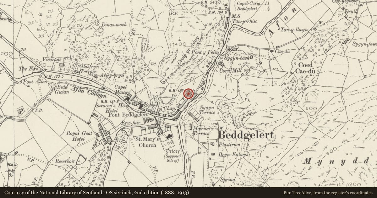 Ordnance Survey six-inch map, 2nd edition (1888–1913) covering the location of Bryn-Cilio, Beddgelert, Gwynedd, with a pin at the register's coordinates