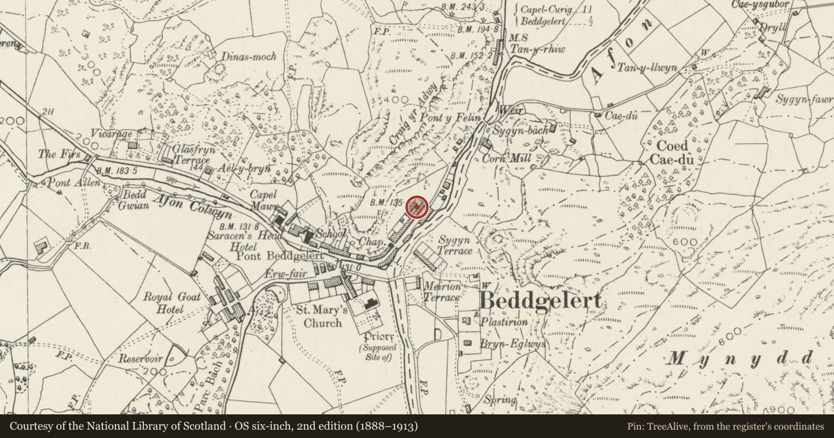 Ordnance Survey six-inch map, 2nd edition (1888–1913) covering the location of 18 Gwynant Street, Beddgelert, Gwynedd, with a pin at the register's coordinates