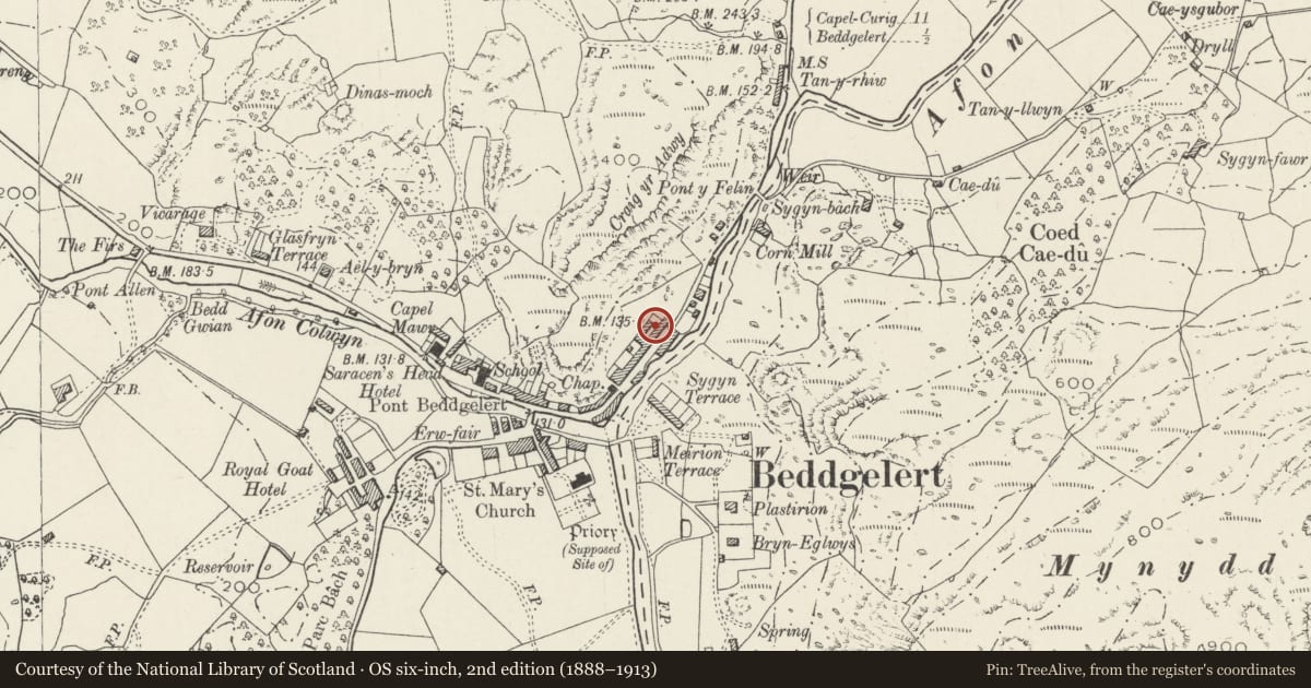 Ordnance Survey six-inch map, 2nd edition (1888–1913) covering the location of Tremafon, Beddgelert, Gwynedd, with a pin at the register's coordinates