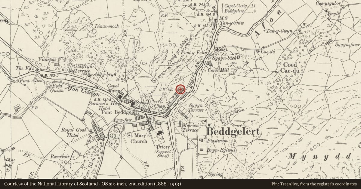 Ordnance Survey six-inch map, 2nd edition (1888–1913) covering the location of Tan-Rallt, Beddgelert, Gwynedd, with a pin at the register's coordinates