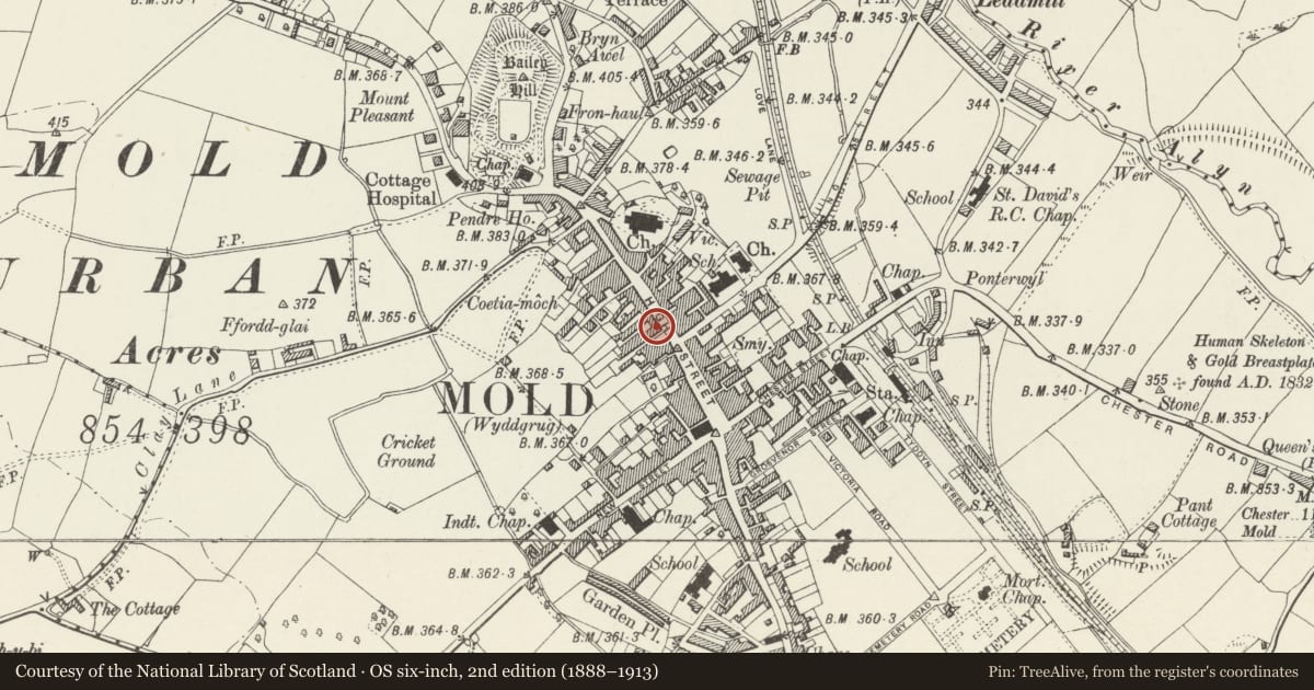 Ordnance Survey six-inch map, 2nd edition (1888–1913) covering the location of H.I. Jones, Chemist, Mold, Flintshire, with a pin at the register's coordinates