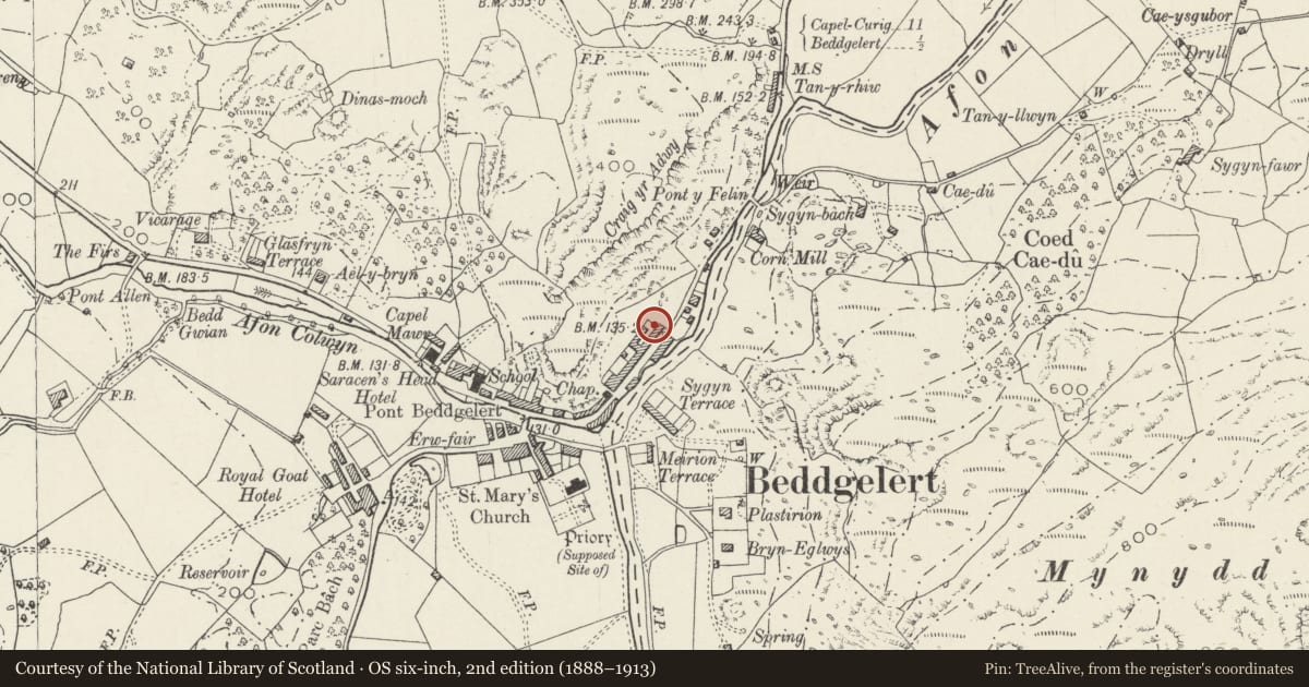 Ordnance Survey six-inch map, 2nd edition (1888–1913) covering the location of Tan-y-Marian, Beddgelert, Gwynedd, with a pin at the register's coordinates