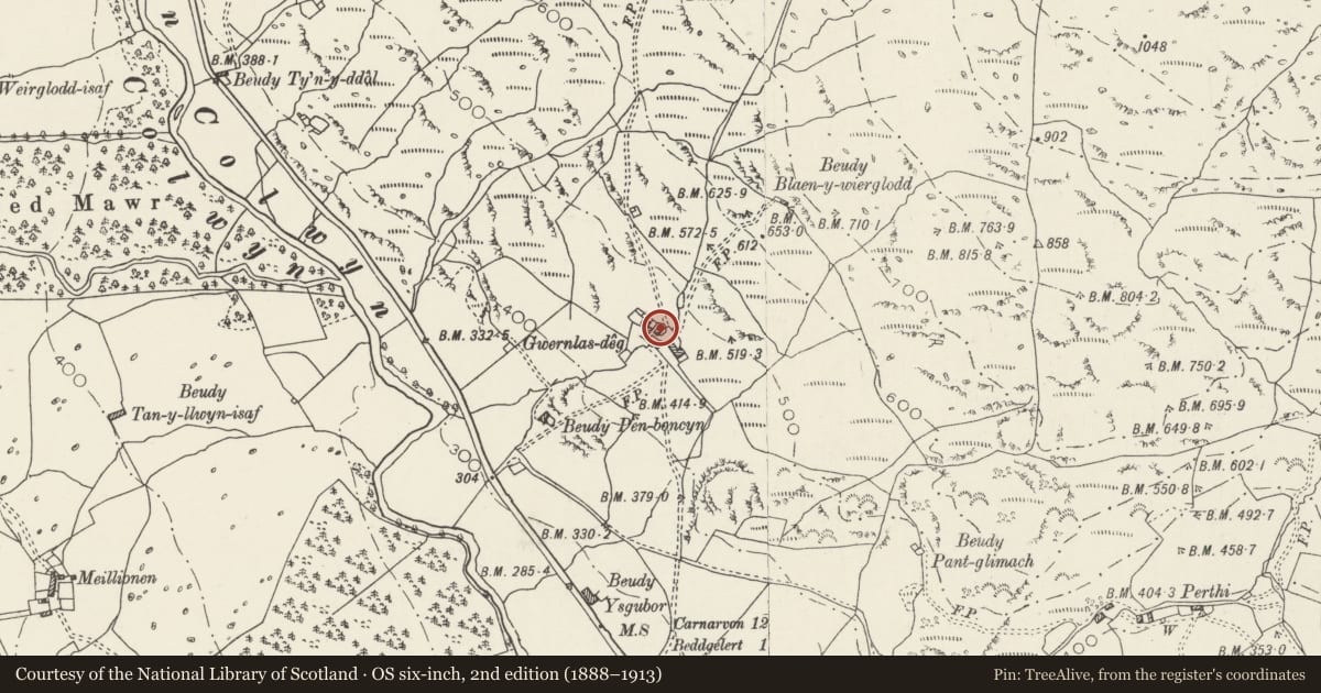Ordnance Survey six-inch map, 2nd edition (1888–1913) covering the location of Wernlas-Deg, Beddgelert, Gwynedd, with a pin at the register's coordinates