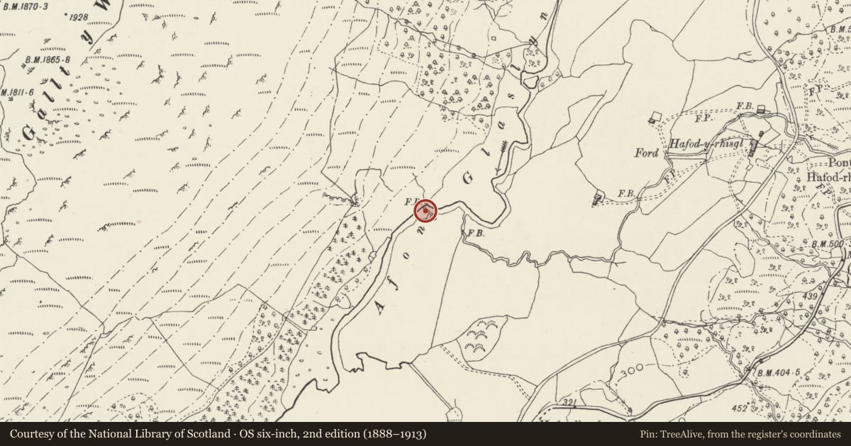 Ordnance Survey six-inch map, 2nd edition (1888–1913) covering the location of 'Roman Bridge' over the Afon Glaslyn, Beddgelert, Gwynedd, with a pin at the register's coordinates