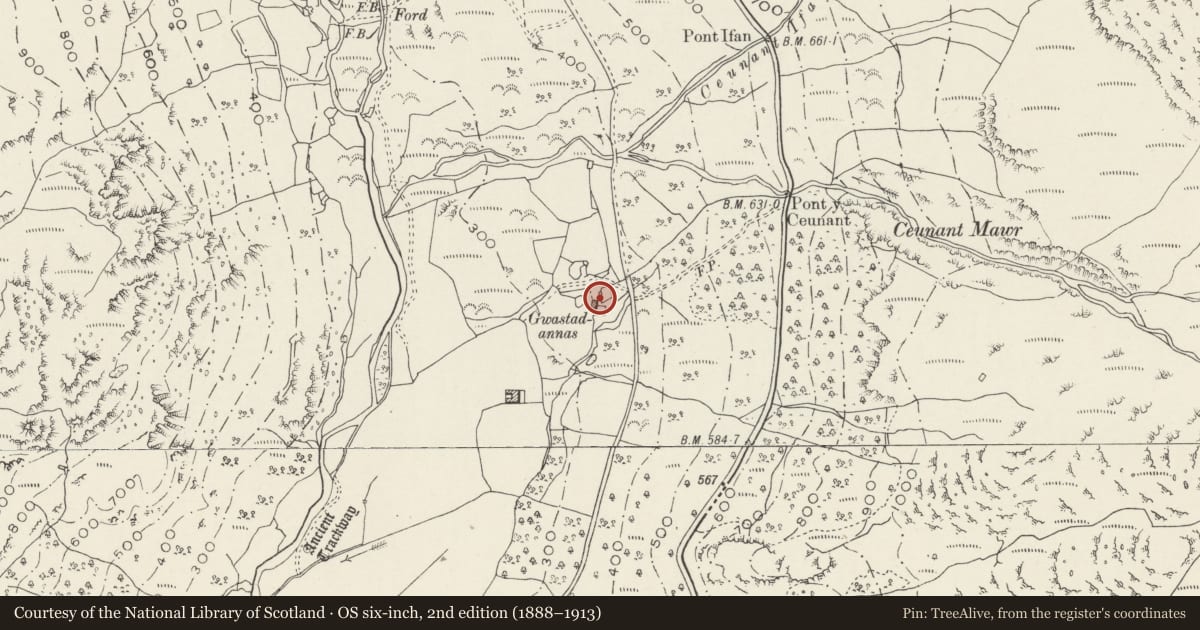 Ordnance Survey six-inch map, 2nd edition (1888–1913) covering the location of Gwastad Annas (Old House), Beddgelert, Gwynedd, with a pin at the register's coordinates