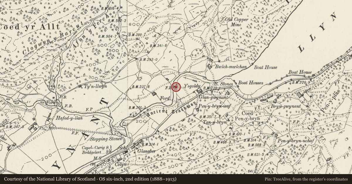 Ordnance Survey six-inch map, 2nd edition (1888–1913) covering the location of Foot Bridge 100m E of Ysgoldy, Beddgelert, Gwynedd, with a pin at the register's coordinates