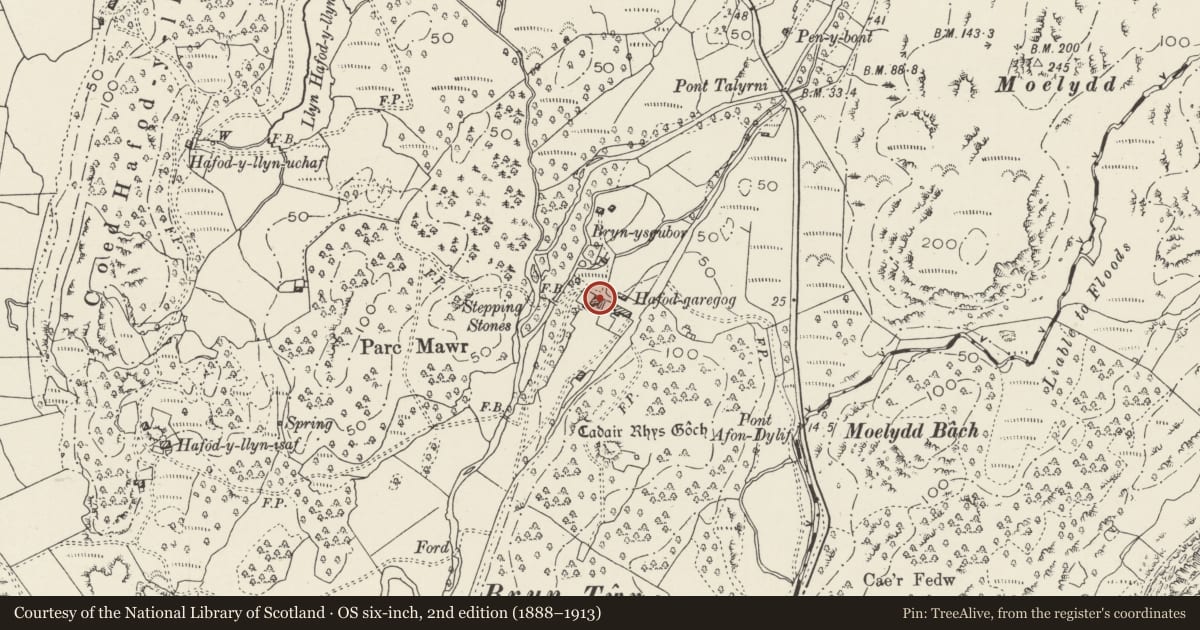 Ordnance Survey six-inch map, 2nd edition (1888–1913) covering the location of Hafod Garegog, Beddgelert, Gwynedd, with a pin at the register's coordinates