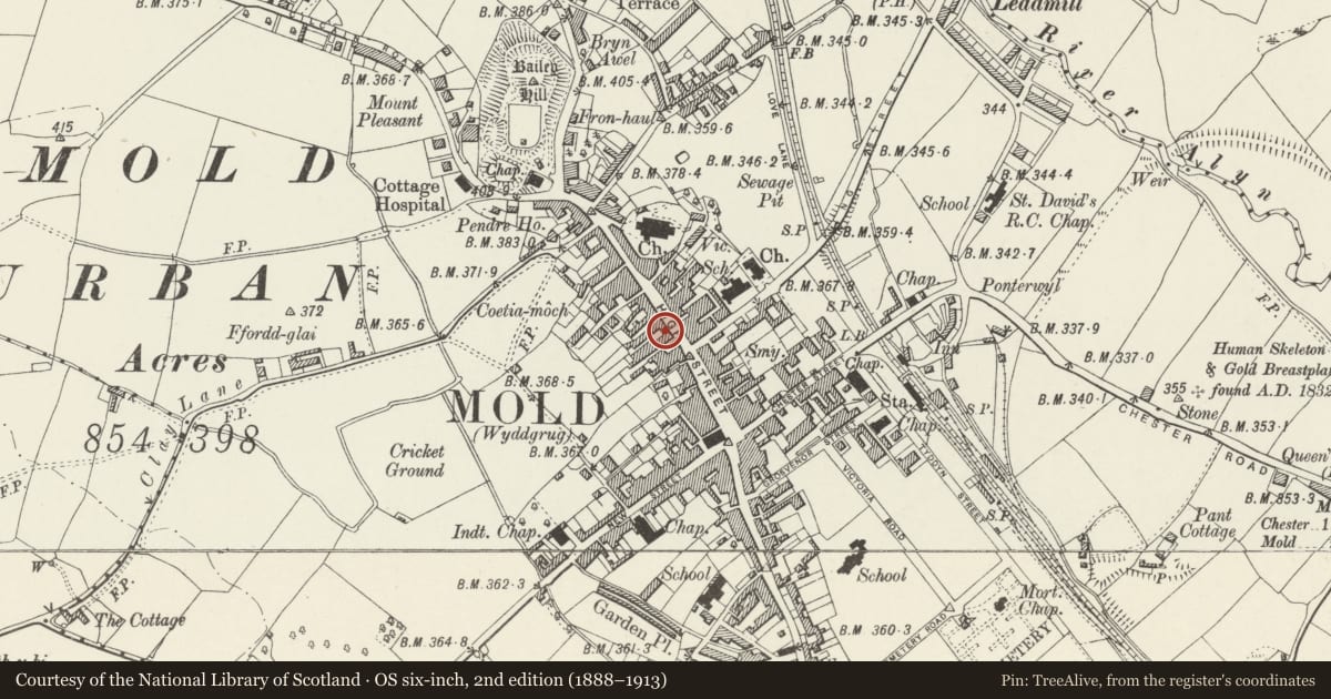 Ordnance Survey six-inch map, 2nd edition (1888–1913) covering the location of International Furnishing, Mold, Flintshire, with a pin at the register's coordinates