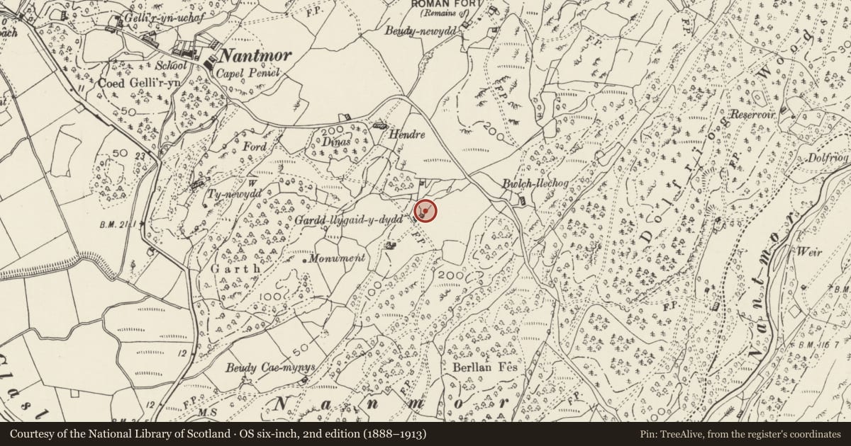 Ordnance Survey six-inch map, 2nd edition (1888–1913) covering the location of Gardd-Llygaid-y-Dydd (Old House), Beddgelert, Gwynedd, with a pin at the register's coordinates