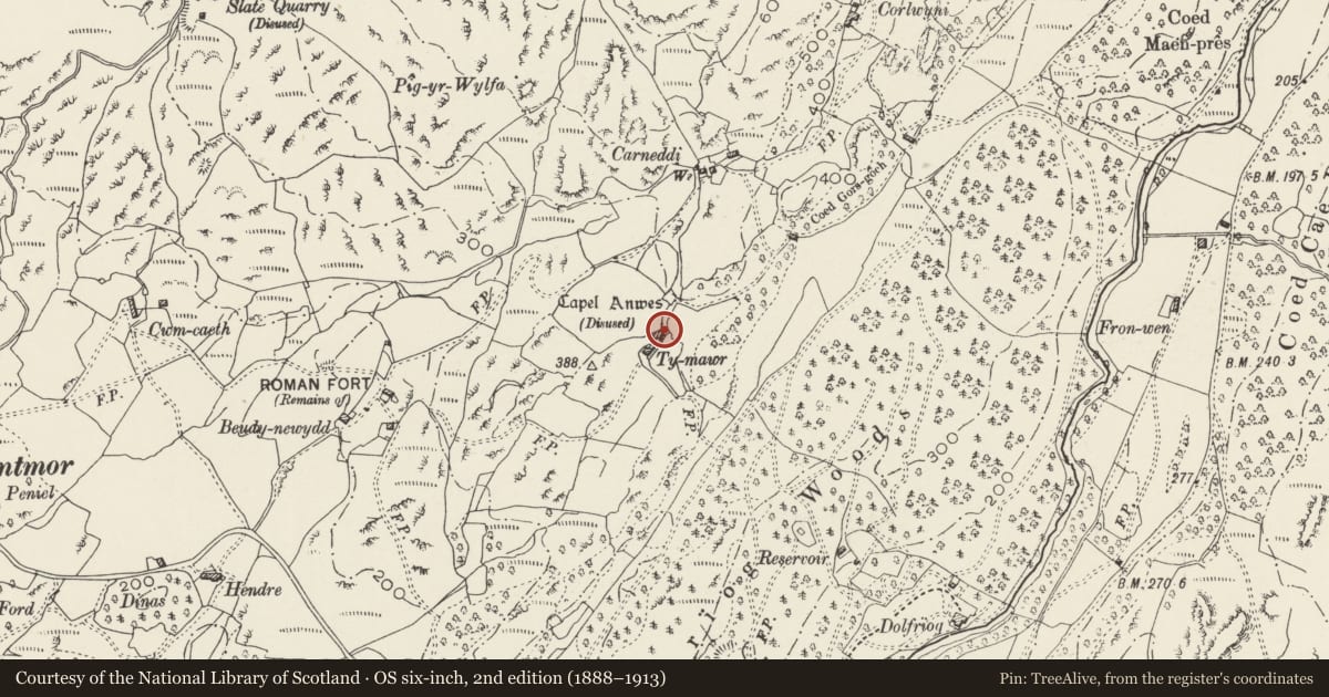 Ordnance Survey six-inch map, 2nd edition (1888–1913) covering the location of Capel Anwes, Beddgelert, Gwynedd, with a pin at the register's coordinates