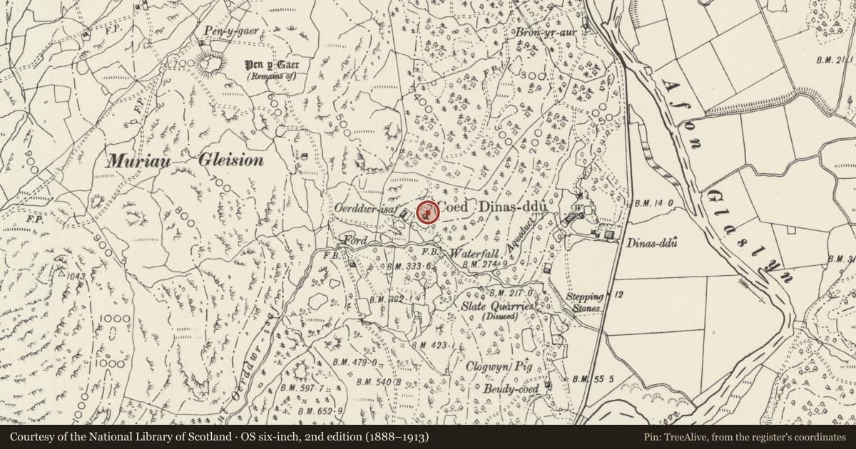 Ordnance Survey six-inch map, 2nd edition (1888–1913) covering the location of Oerddwr-Isaf, Beddgelert, Gwynedd, with a pin at the register's coordinates
