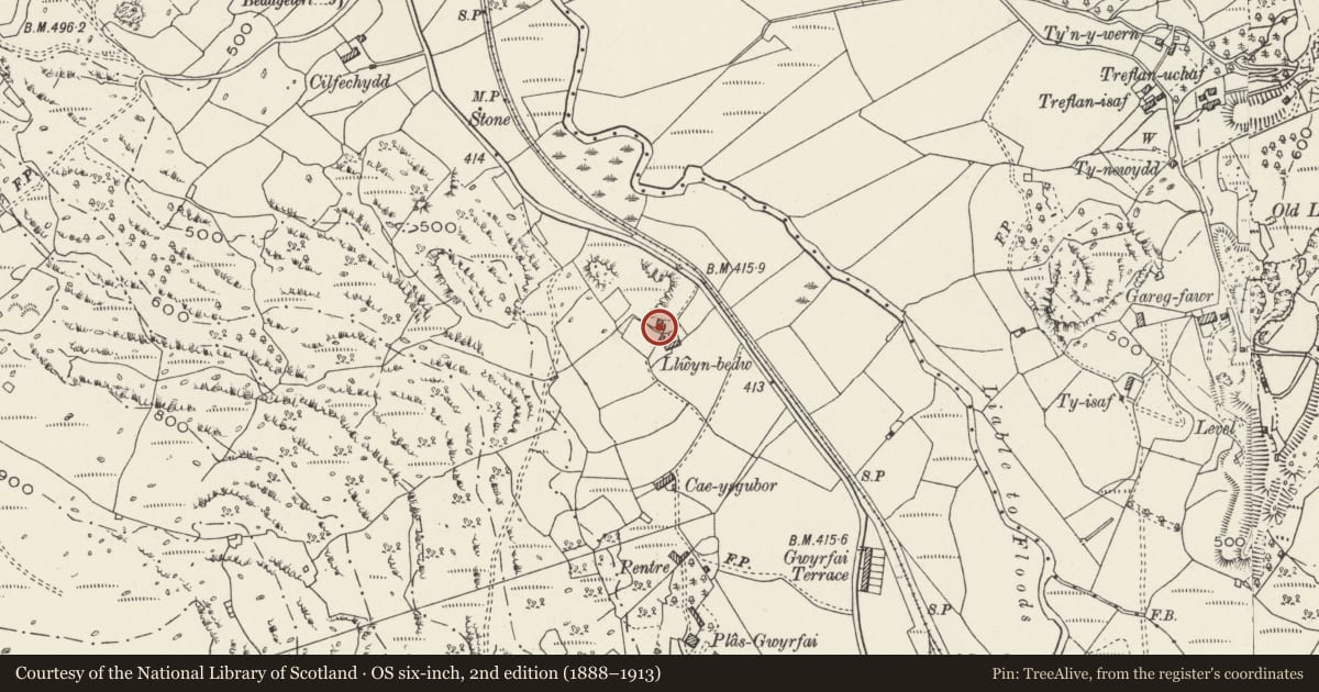 Ordnance Survey six-inch map, 2nd edition (1888–1913) covering the location of Llwyn-bedw, Betws Garmon, Gwynedd, with a pin at the register's coordinates