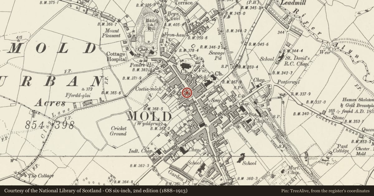 Ordnance Survey six-inch map, 2nd edition (1888–1913) covering the location of R D Brennan, Butcher, Mold, Flintshire, with a pin at the register's coordinates