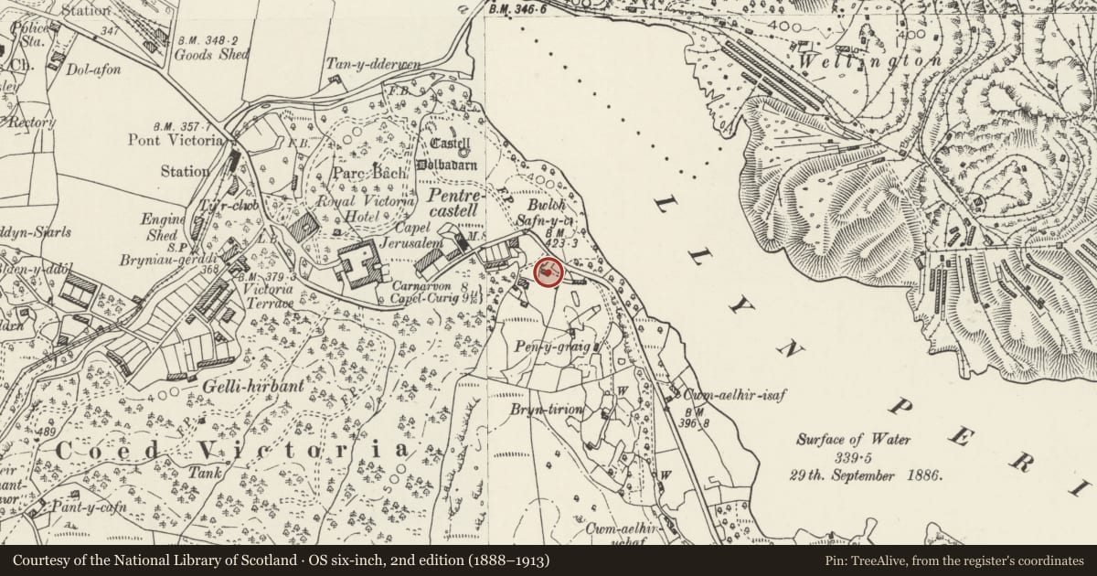 Ordnance Survey six-inch map, 2nd edition (1888–1913) covering the location of Glandwr Cottage, Llanberis, Gwynedd, with a pin at the register's coordinates