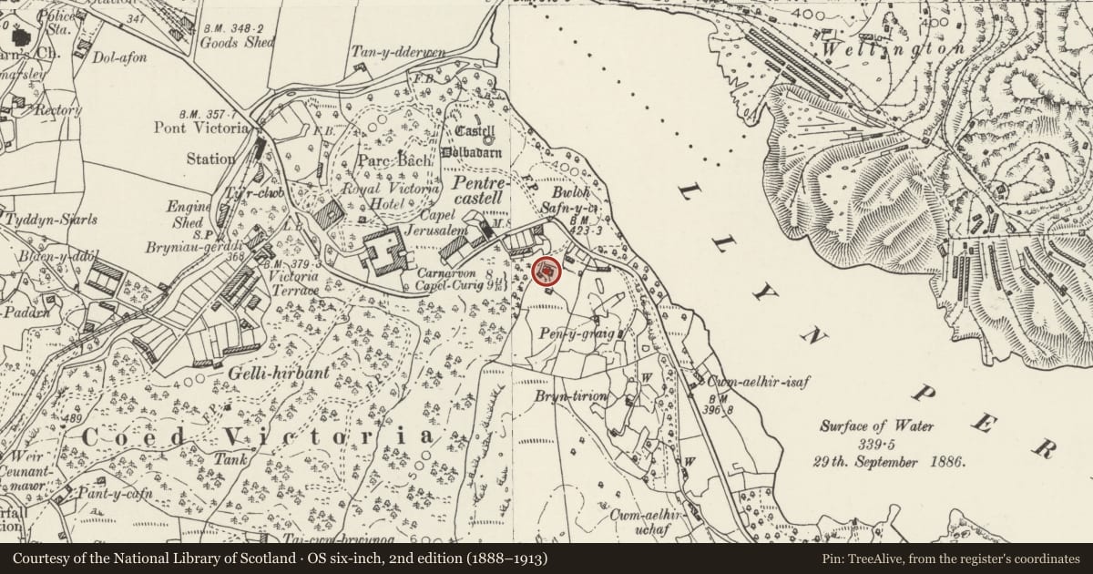 Ordnance Survey six-inch map, 2nd edition (1888–1913) covering the location of Ty Ucha'r Ffordd, Llanberis, Gwynedd, with a pin at the register's coordinates