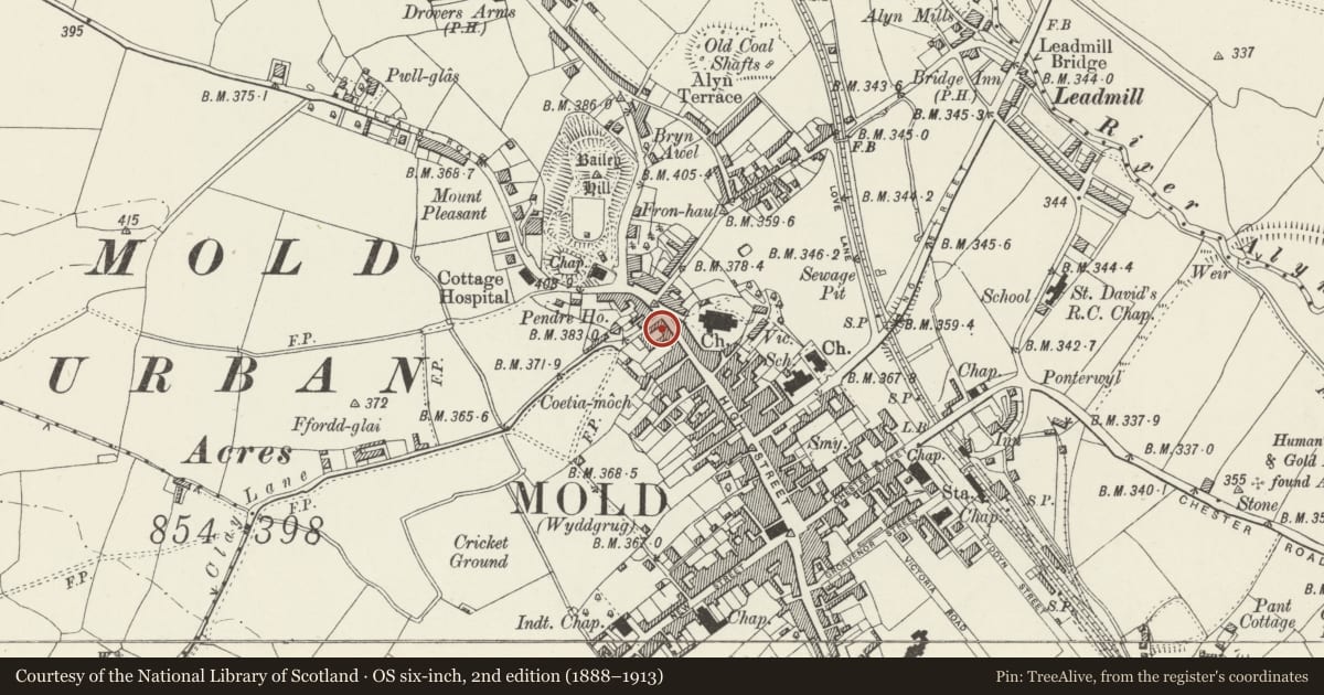 Ordnance Survey six-inch map, 2nd edition (1888–1913) covering the location of Dolphin Hotel (south part only), Mold, Flintshire, with a pin at the register's coordinates