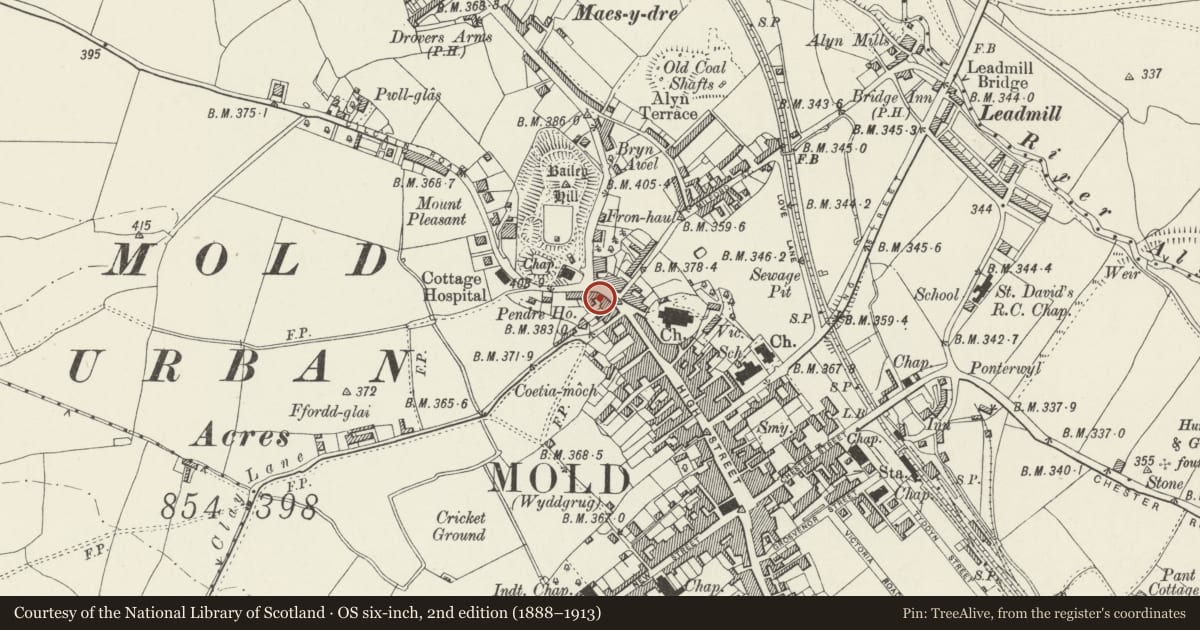 Ordnance Survey six-inch map, 2nd edition (1888–1913) covering the location of Crest House, Mold, Flintshire, with a pin at the register's coordinates