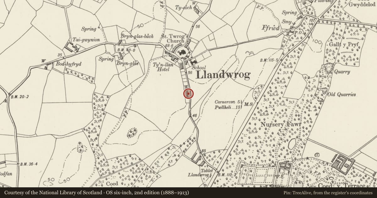 Ordnance Survey six-inch map, 2nd edition (1888–1913) covering the location of Cae'r Llwyn Cottages, Llandwrog, Gwynedd, with a pin at the register's coordinates