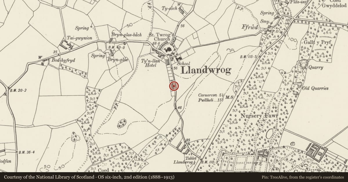 Ordnance Survey six-inch map, 2nd edition (1888–1913) covering the location of Cae'r Llwyn Cottages, Llandwrog, Gwynedd, with a pin at the register's coordinates