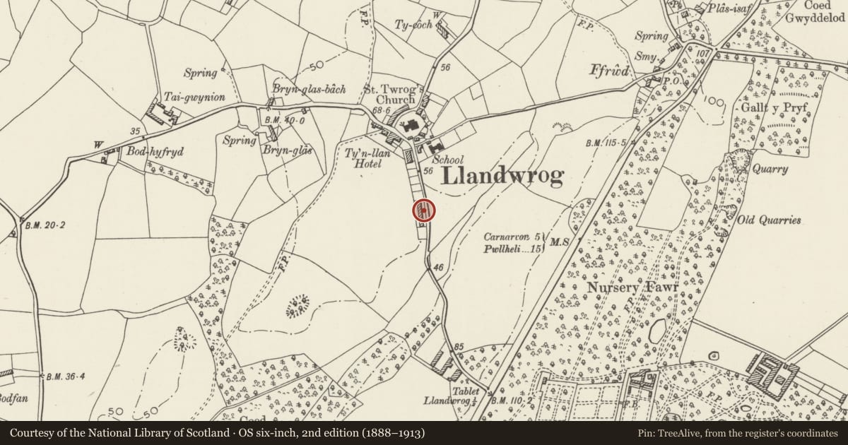 Ordnance Survey six-inch map, 2nd edition (1888–1913) covering the location of Cae'r Llwyn Cottages, Llandwrog, Gwynedd, with a pin at the register's coordinates