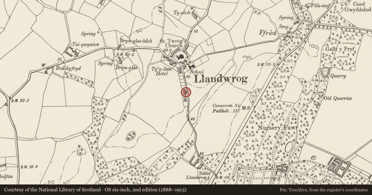 Ordnance Survey six-inch map, 2nd edition (1888–1913) covering the location of Cae'r Llwyn Cottages, Llandwrog, Gwynedd, with a pin at the register's coordinates