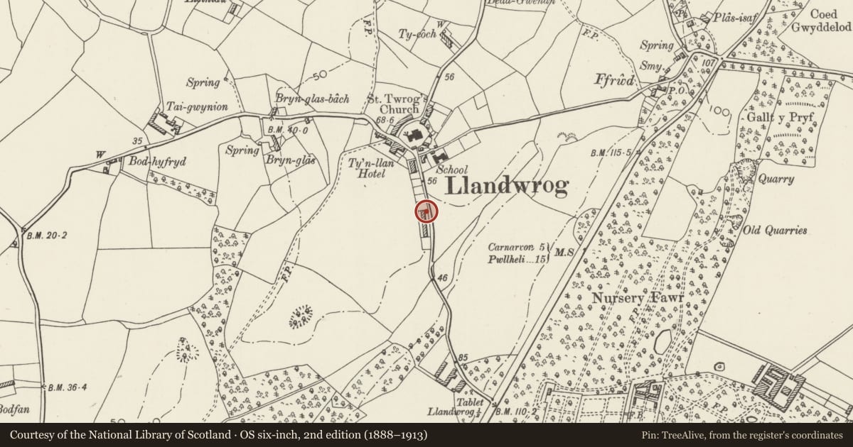 Ordnance Survey six-inch map, 2nd edition (1888–1913) covering the location of Cae'r Llwyn Cottages, Llandwrog, Gwynedd, with a pin at the register's coordinates