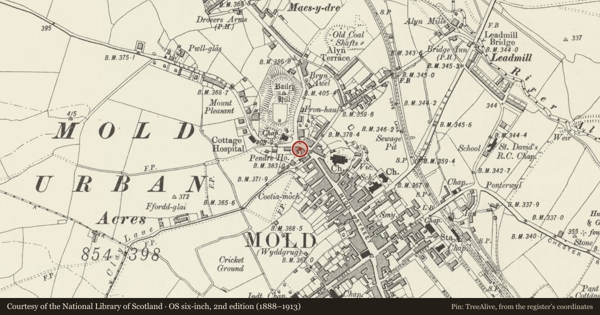 Ordnance Survey six-inch map, 2nd edition (1888–1913) covering the location of Wilding Civil Engineering Ltd. and Powell Public Relations, Mold, Flintshire, with a pin at the register's coordinates