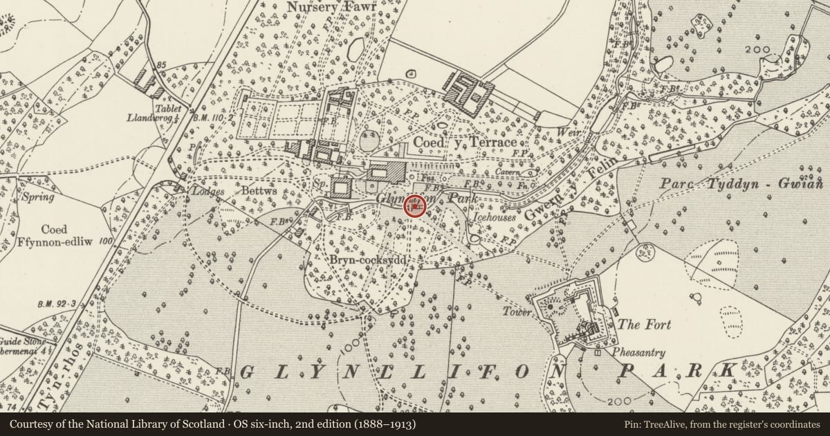 Ordnance Survey six-inch map, 2nd edition (1888–1913) covering the location of Bridge over Afon Llifon to south-east of Glynllifon House, Llandwrog, Gwynedd, with a pin at the register's coordinates