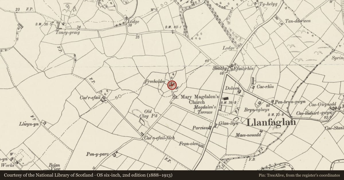 Ordnance Survey six-inch map, 2nd edition (1888–1913) covering the location of Free Holder, Bontnewydd, Gwynedd, with a pin at the register's coordinates