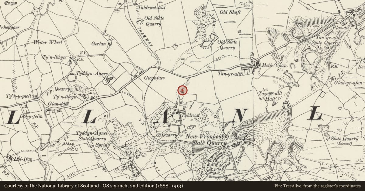 Ordnance Survey six-inch map, 2nd edition (1888–1913) covering the location of Barn to north of Taldwrst, Llanllyfni, Gwynedd, with a pin at the register's coordinates