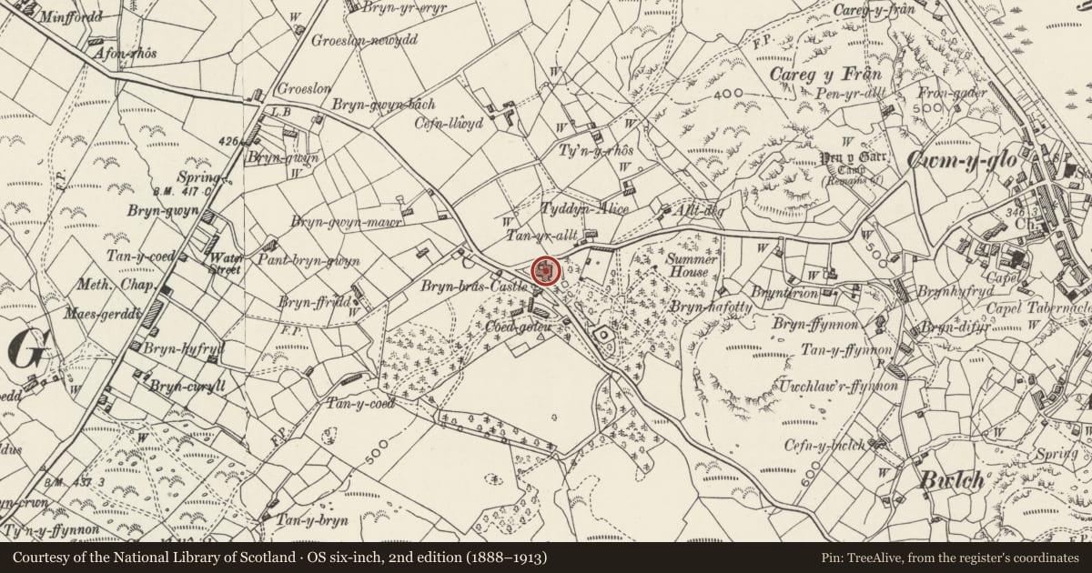 Ordnance Survey six-inch map, 2nd edition (1888–1913) covering the location of Bryn Bras Castle, Llanrug, Gwynedd, with a pin at the register's coordinates