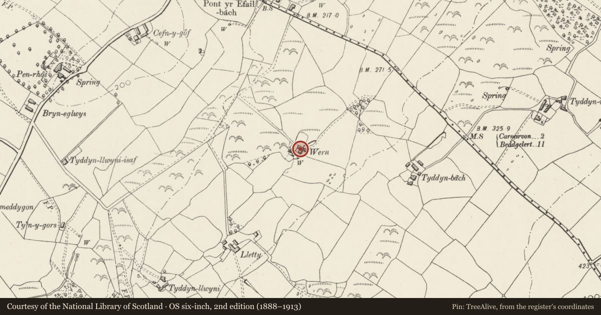 Ordnance Survey six-inch map, 2nd edition (1888–1913) covering the location of Wern, Waunfawr, Gwynedd, with a pin at the register's coordinates