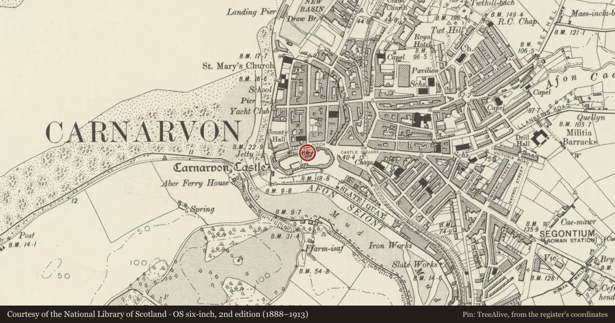 Ordnance Survey six-inch map, 2nd edition (1888–1913) covering the location of Caernarfon Castle, Gwynedd, with a pin at the register's coordinates