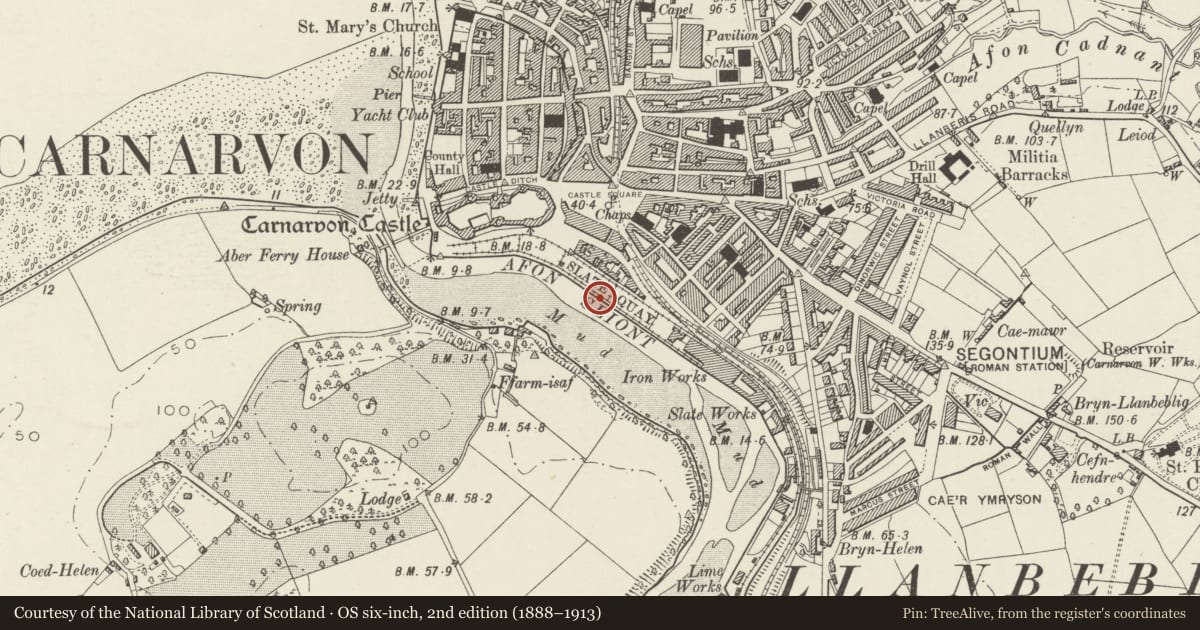 Ordnance Survey six-inch map, 2nd edition (1888–1913) covering the location of Caernarfon Town Wall, Gwynedd, with a pin at the register's coordinates
