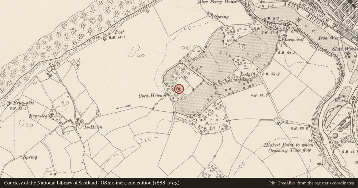 Ordnance Survey six-inch map, 2nd edition (1888–1913) covering the location of Coed Helen, Caernarfon, Gwynedd, with a pin at the register's coordinates