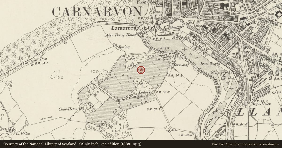 Ordnance Survey six-inch map, 2nd edition (1888–1913) covering the location of Summerhouse to NE of Coed Helen, Caernarfon, Gwynedd, with a pin at the register's coordinates