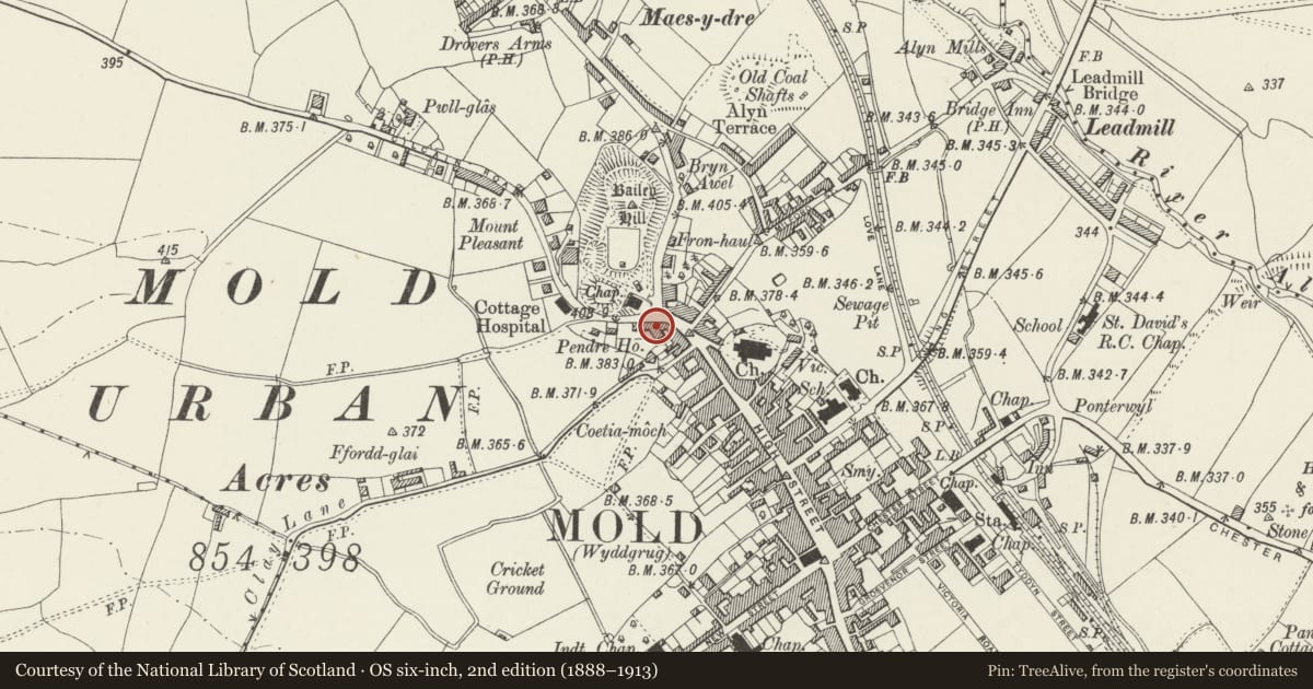 Ordnance Survey six-inch map, 2nd edition (1888–1913) covering the location of 110 High Street, Mold, Flintshire, with a pin at the register's coordinates
