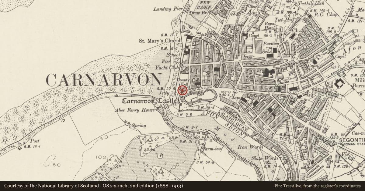 Ordnance Survey six-inch map, 2nd edition (1888–1913) covering the location of Police Station, including forecourt railings and gate piers, Caernarfon, Gwynedd, with a pin at the register's coordinates