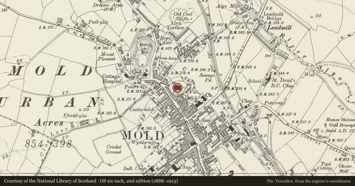 Ordnance Survey six-inch map, 2nd edition (1888–1913) covering the location of Parish Church in St Mary, Mold, Flintshire, with a pin at the register's coordinates