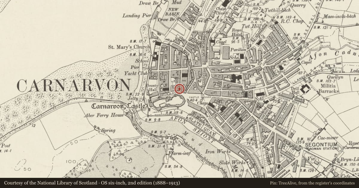 Ordnance Survey six-inch map, 2nd edition (1888–1913) covering the location of Palace Vaults, Caernarfon, Gwynedd, with a pin at the register's coordinates