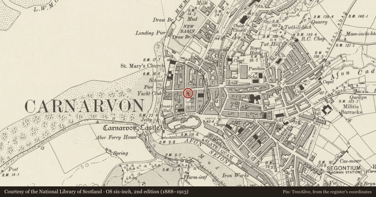 Ordnance Survey six-inch map, 2nd edition (1888–1913) covering the location of 3 Castle Street, Caernarfon, Gwynedd, with a pin at the register's coordinates