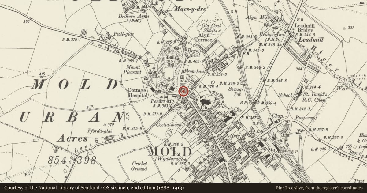Ordnance Survey six-inch map, 2nd edition (1888–1913) covering the location of Keene & Kelly Solicitors, Allwood, Baird & Co., Leeds Permanent Building Society, Mold, Flintshire, with a pin at the register's coordinates
