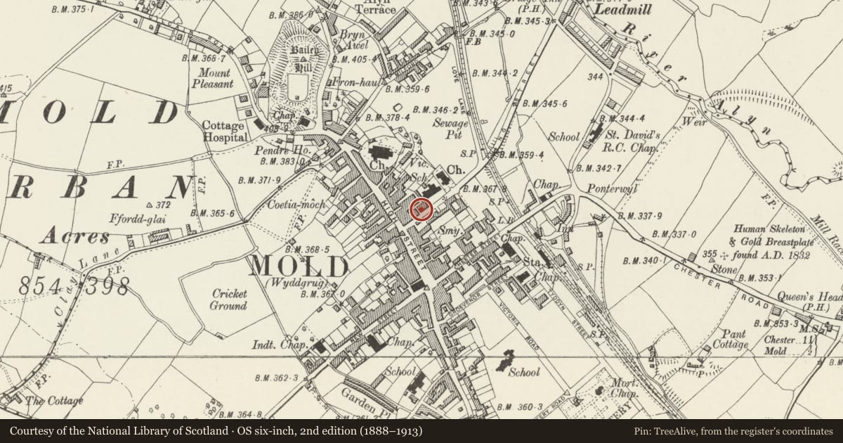 Ordnance Survey six-inch map, 2nd edition (1888–1913) covering the location of 8 King Street, Mold, Flintshire, with a pin at the register's coordinates