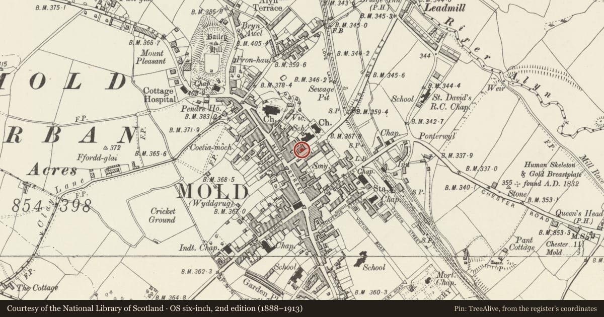 Ordnance Survey six-inch map, 2nd edition (1888–1913) covering the location of 8a King Street, Mold, Flintshire, with a pin at the register's coordinates