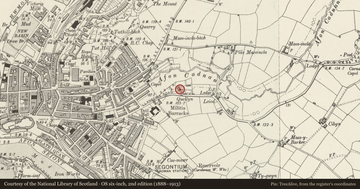 Ordnance Survey six-inch map, 2nd edition (1888–1913) covering the location of Gwellyn, Caernarfon, Gwynedd, with a pin at the register's coordinates