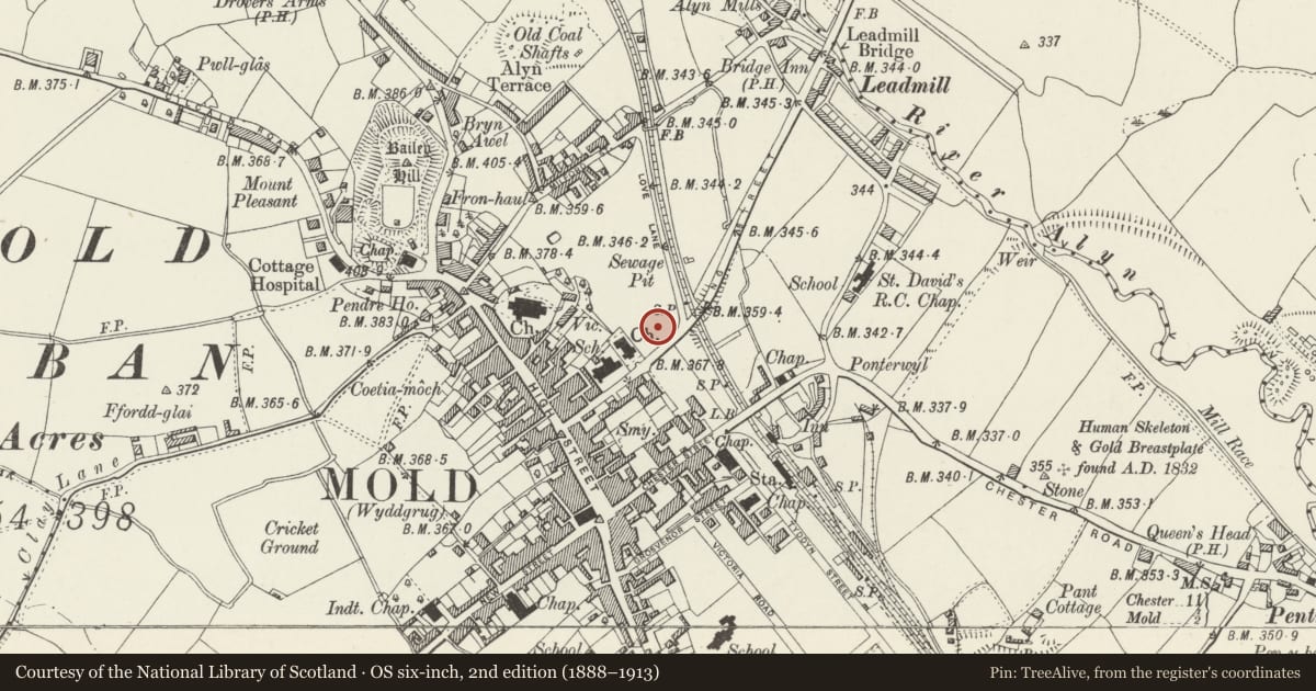 Ordnance Survey six-inch map, 2nd edition (1888–1913) covering the location of Sunnybank, Mold, Flintshire, with a pin at the register's coordinates