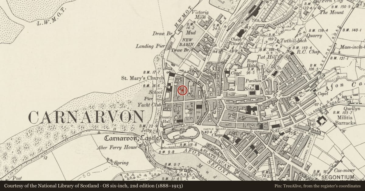 Ordnance Survey six-inch map, 2nd edition (1888–1913) covering the location of 9 Market Street, including railings and steps, Caernarfon, Gwynedd, with a pin at the register's coordinates