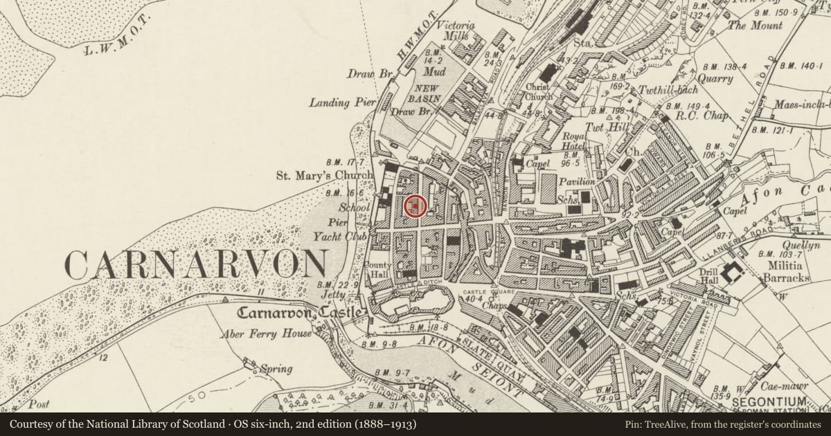 Ordnance Survey six-inch map, 2nd edition (1888–1913) covering the location of 7 Market Street, including railings and steps, Caernarfon, Gwynedd, with a pin at the register's coordinates