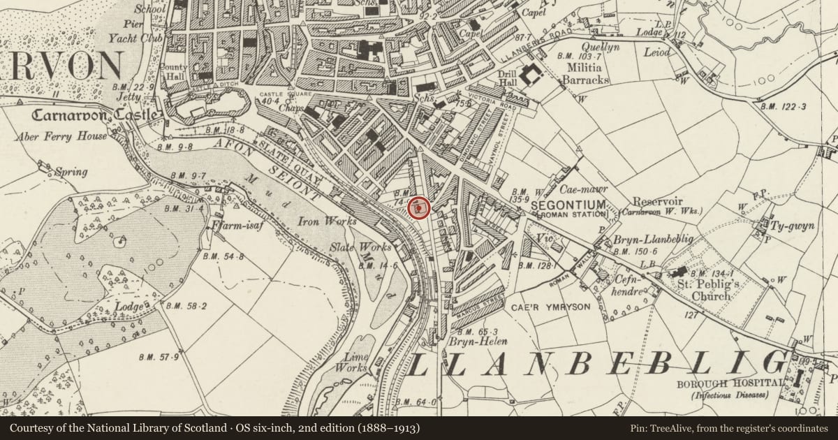 Ordnance Survey six-inch map, 2nd edition (1888–1913) covering the location of Bron y Gaer, Caernarfon, Gwynedd, with a pin at the register's coordinates